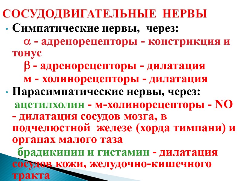 СОСУДОДВИГАТЕЛЬНЫЕ  НЕРВЫ Симпатические нервы,  через:       